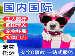 保山云瑞航空快递国际宠物托运 【国